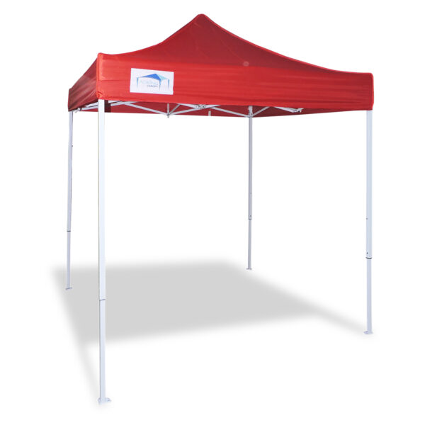 Carpa plegable manual 2x2 m TAKM01